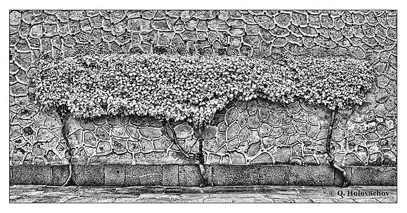 "Wall ornament"