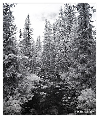 Stream in the Fulufjället national park, Sweden