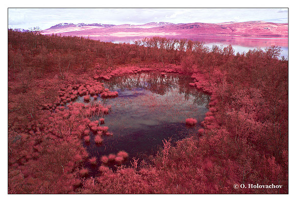 Njulla mountain slope near Abisko, Sweden