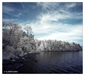 Grinda Island, Archipelago, Stockholm, Sweden