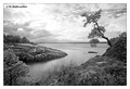 Stendörren Naturreserval, Sweden