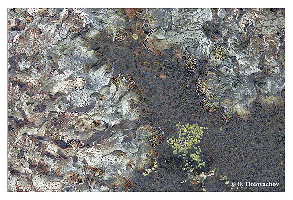 Weathered lava field