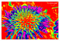 Multispectral abstracts