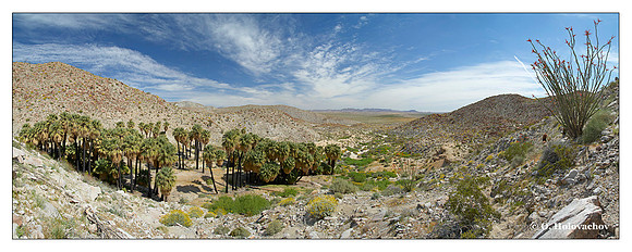 Anza Borrego Desert State Park, California
