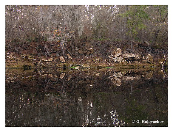 Suwannee River State Park, Florida