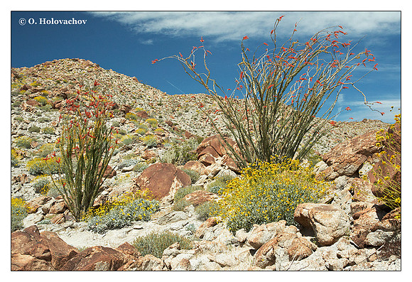 Anza Borrego Desert State Park, California